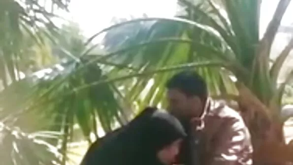 آئیوی اسنو ایک بہترین بوٹی شیک کر سکتی ہے۔