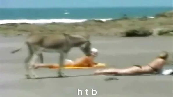 HD Badgirls: بڑا گلابی کھلونا۔