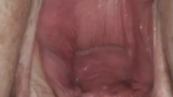 للی لا بیو چوسنا ، چودنا ، نگلنا۔